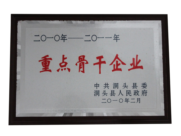 2010年-2011年重點骨干企業(yè)