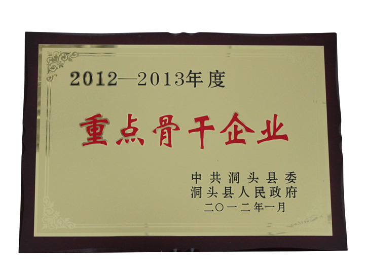 2012-2013年度重點骨干企業(yè)